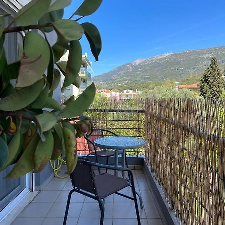 Vasiliki Apartments Навпакт Екстер'єр фото